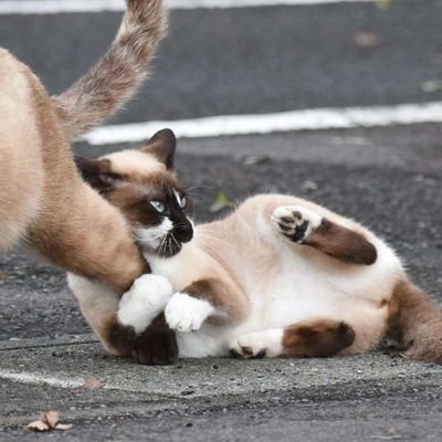 _nxkkiii (88592.lens) Lens social identity (.lens handle) PFP