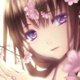 huaweijin6593 (huaweijin6593.lens) Lens social identity (.lens handle) PFP