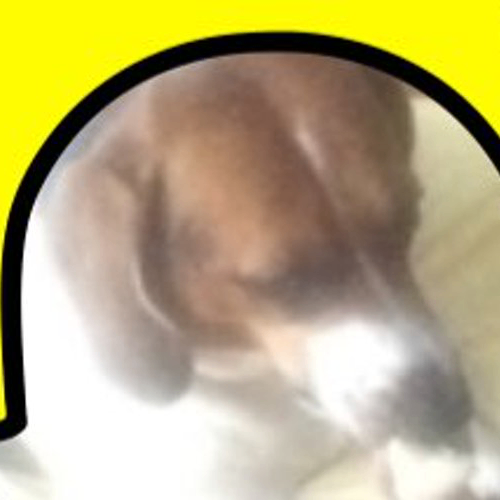 Nick (abootbrutus.lens) Lens social identity (.lens handle) PFP