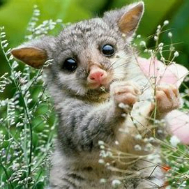 xosscpbpobv (xosscpbpobv.lens) Lens social identity (.lens handle) PFP