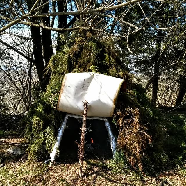 Circuit Synergy (neulion.lens) Lens social identity (.lens handle) PFP