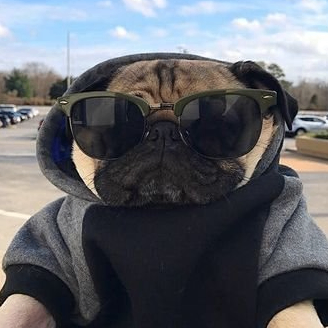 Burke Doris (bartof.lens) Lens social identity (.lens handle) PFP