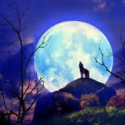 andrew (yutgbf.lens) Lens social identity (.lens handle) PFP