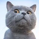 Samuel (vallessamuel2021.lens) Lens social identity (.lens handle) PFP