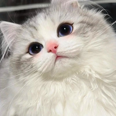 Haley Jeremiah (rrrrrm.lens) Lens social identity (.lens handle) PFP