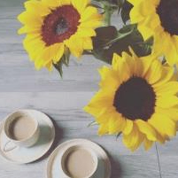 Susan Fox (xxhhh.lens) Lens social identity (.lens handle) PFP