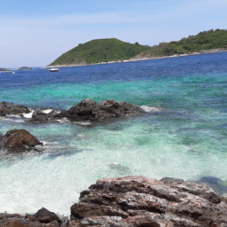 HealthCardi (cardinalhealth.lens) Lens social identity (.lens handle) PFP