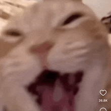 mayoutwater (mayoutwater.lens) Lens social identity (.lens handle) PFP