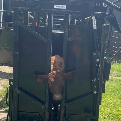 HerdPro (herdpro.lens) Lens social identity (.lens handle) PFP