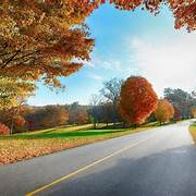 globe (mone18.lens) Lens social identity (.lens handle) PFP