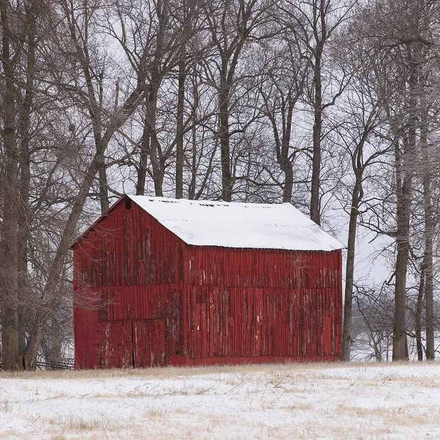 Verbal Voyage (changeip.lens) Lens social identity (.lens handle) PFP