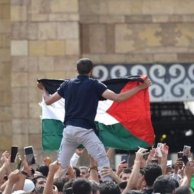 vip_cappo (vipcappo.lens) Lens social identity (.lens handle) PFP