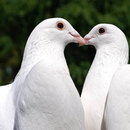 nhaza (nhaza28.lens) Lens social identity (.lens handle) PFP