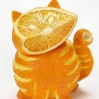 Grover Morgan (xxxxxd.lens) Lens social identity (.lens handle) PFP