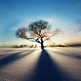 hllrylee (hllrylee.lens) Lens social identity (.lens handle) PFP