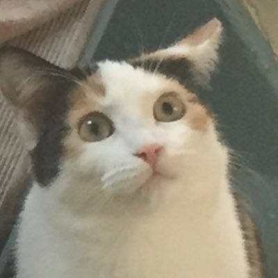 Hkd34 (ocsainf.lens) Lens social identity (.lens handle) PFP