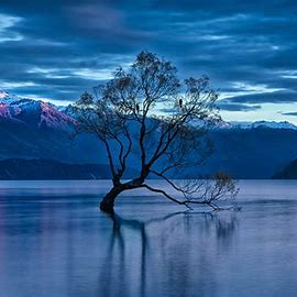 bartikjan (bartikjan.lens) Lens social identity (.lens handle) PFP