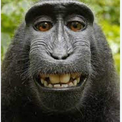 ukaukaman (ukaukaman.lens) Lens social identity (.lens handle) PFP