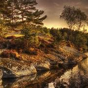 priya (odidiye9.lens) Lens social identity (.lens handle) PFP