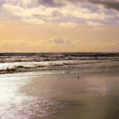 IanW1985 (ianw1985.lens) Lens social identity (.lens handle) PFP