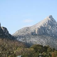 123 (wildmy.lens) Lens social identity (.lens handle) PFP