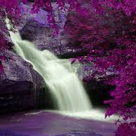 airdrop (airdropbull.lens) Lens social identity (.lens handle) PFP