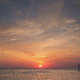 brianade (brianade.lens) Lens social identity (.lens handle) PFP