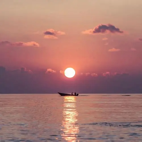 bugga (bugga.lens) Lens social identity (.lens handle) PFP