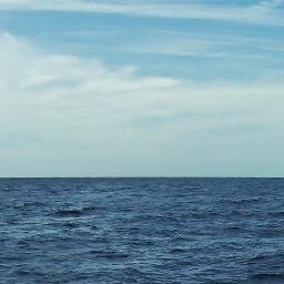 CarabelaCon (93201.lens) Lens social identity (.lens handle) PFP