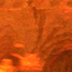 Dackblock (user1982h.lens) Lens social identity (.lens handle) PFP