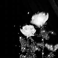 Lisa (makeyou.lens) Lens social identity (.lens handle) PFP