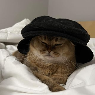 Minh Đức Nguyen (mducnguyen.lens) Lens social identity (.lens handle) PFP