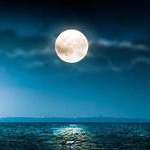 priya (two051.lens) Lens social identity (.lens handle) PFP