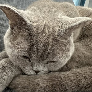 Erman (ermangazi.lens) Lens social identity (.lens handle) PFP