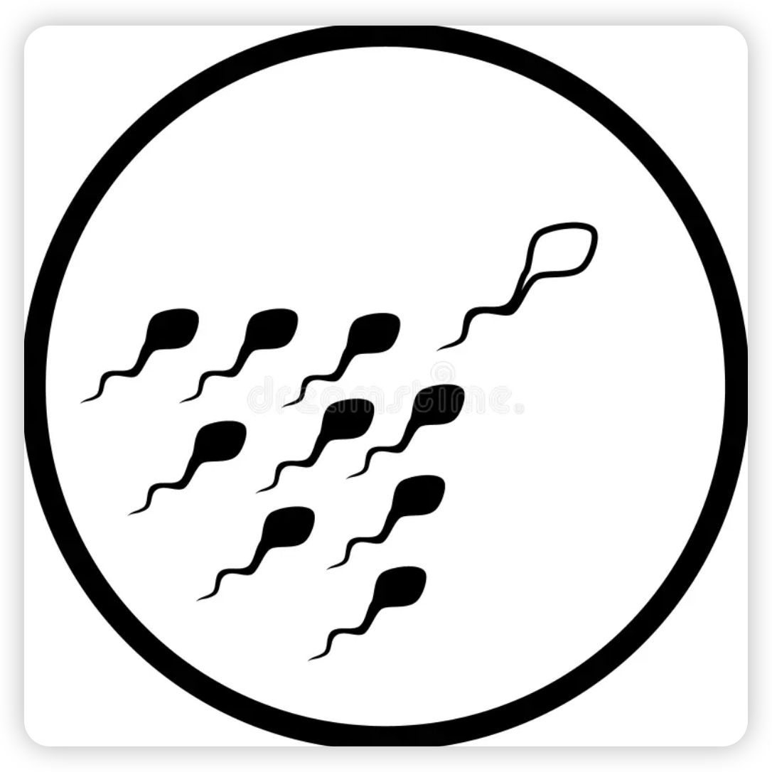 Amazon cafffe (cafeamazon.lens) Lens social identity (.lens handle) PFP