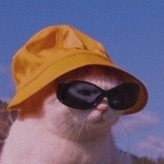 GlitterKitty (glitterkitty.lens) Lens social identity (.lens handle) PFP