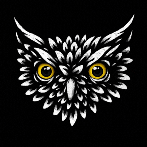 sharif766 (sharif766.lens) Lens social identity (.lens handle) PFP