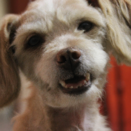 Jimenazimenezy (jimenaxjimenezr.lens) Lens social identity (.lens handle) PFP