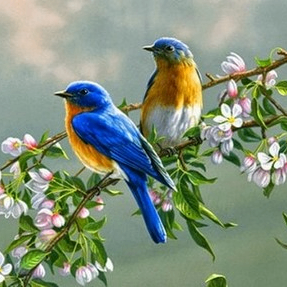 Xonmgofc (oauawyu.lens) Lens social identity (.lens handle) PFP