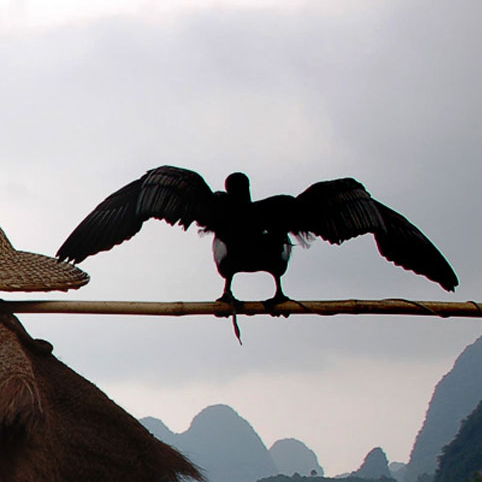 hukki (oikmh9.lens) Lens social identity (.lens handle) PFP