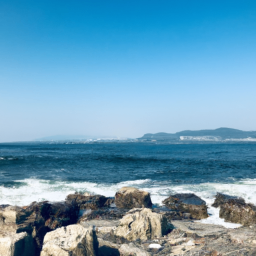 prairiepal (laprairie.lens) Lens social identity (.lens handle) PFP