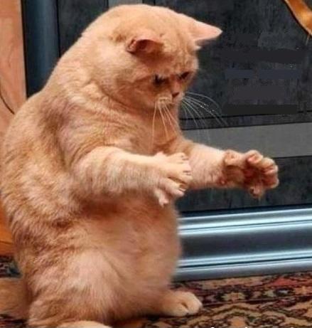 Dinh Tran (spectree.lens) Lens social identity (.lens handle) PFP