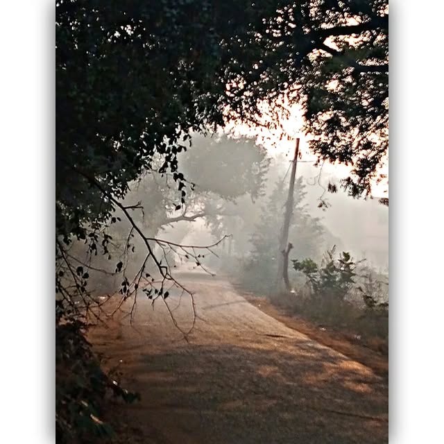 Riley Fielding (markafoni.lens) Lens social identity (.lens handle) PFP