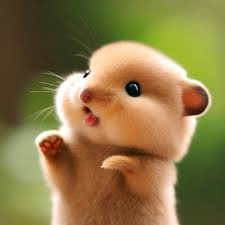 FNBffg (bbvya6q.lens) Lens social identity (.lens handle) PFP