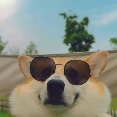 sallyyy (sallyyy.lens) Lens social identity (.lens handle) PFP