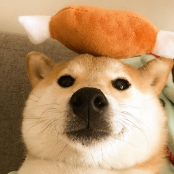 beric nebojsa (qndsuadw.lens) Lens social identity (.lens handle) PFP