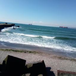 Way Mart Good (safeway.lens) Lens social identity (.lens handle) PFP