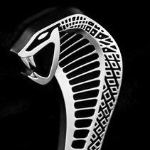 SVT_Cobras (svtcobras.lens) Lens social identity (.lens handle) PFP