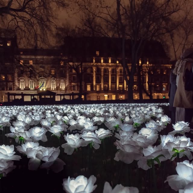 DigitalAssetDan (tfxiq.lens) Lens social identity (.lens handle) PFP