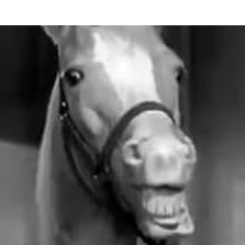 grepuuo (wewew3.lens) Lens social identity (.lens handle) PFP